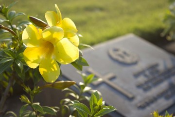 Pratiche Cimiteriali